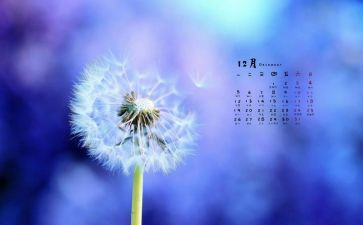 12月学校安全活动总结7篇