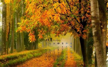 财务12月工作总结6篇