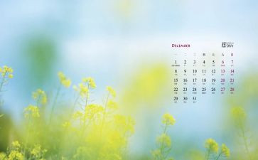 12月心得体会最新7篇