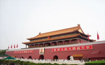 19大心得体会300字推荐8篇