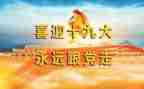 19大心得体会1000字优质6篇