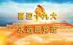 19大心得体会300字优秀6篇