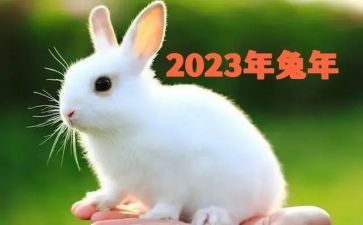 2023宪法讲话稿7篇