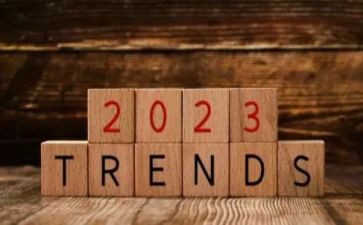 2023年优秀员工事迹材料优秀6篇