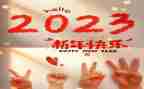 2023年普及金融知识万里行活动总结8篇