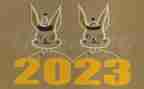 2023年大班安全总结参考5篇