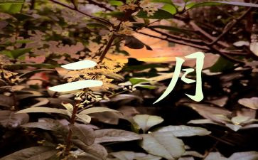 学校2月工作计划8篇