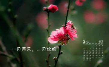 2月2作文600字7篇