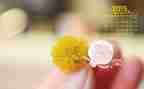 2月工作报告6篇