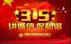 315系列活动总结报告7篇