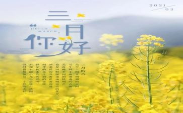 3月心得5篇