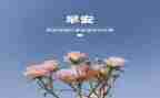 20243月疫情思想汇报5篇