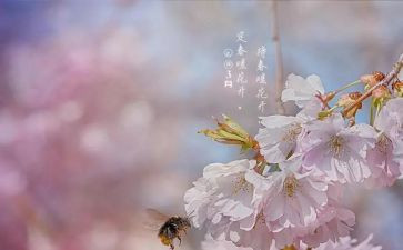 2023年3月份入党申请书8篇