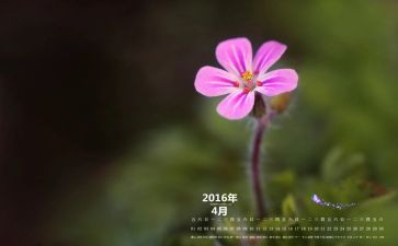 4月4心得体会精选7篇