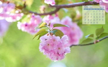 4月活动策划6篇