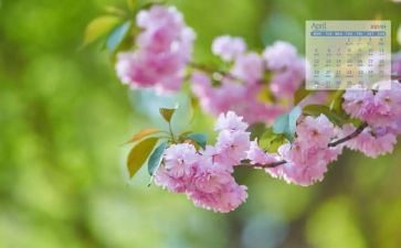 教师4月工作计划6篇