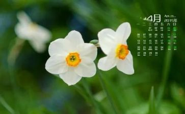 幼儿园教师4月工作总结5篇