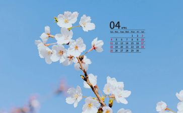 小小班4月份工作总结6篇