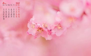 幼儿园4月园务工作计划7篇