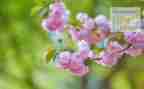教师4月工作计划6篇