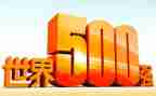 500强文员工作总结5篇