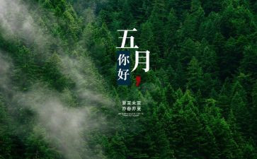 5月份工作计划中班7篇