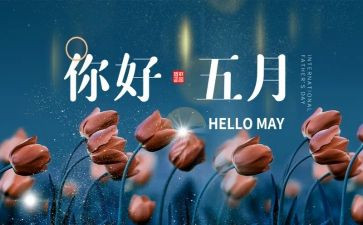财务5月份工作总结5篇