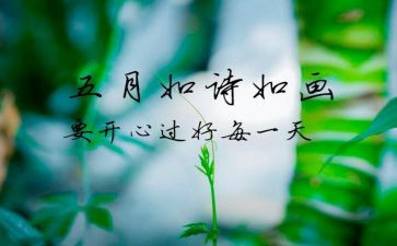 中班5月工作总结7篇