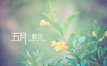 销售5月份工作总结8篇