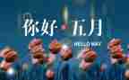 财务5月份工作总结5篇