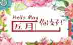 大班5月工作总结6篇