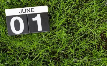 6月6日讲话稿6篇