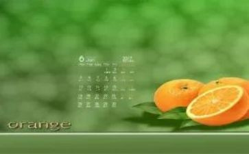 幼儿园大班6月份工作计划6篇
