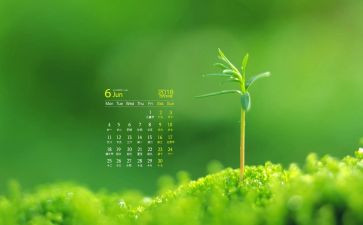 6月工作总结5篇
