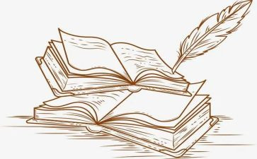 7年级社会教学总结5篇