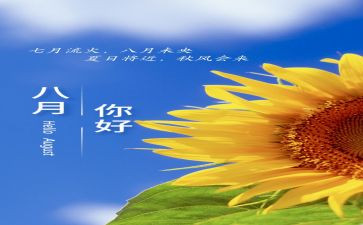 8月销售工作总结7篇