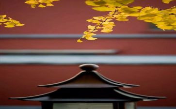 小班8月份月工作计划7篇