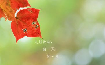 9月销售工作总结范文8篇