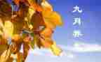 幼儿园9月份园务工作总结7篇