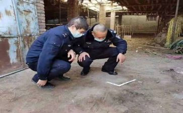 档案管理员年度个人总结8篇