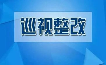 案后整改报告优秀7篇