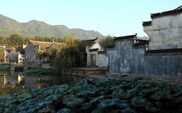 安徽劳动合同7篇