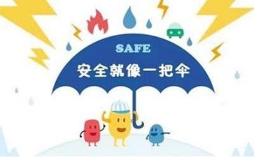 关于安全调查报告5篇