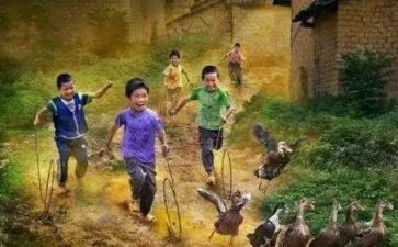 农村八零后工作总结精选7篇