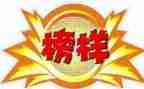 读榜样4心得体会5篇