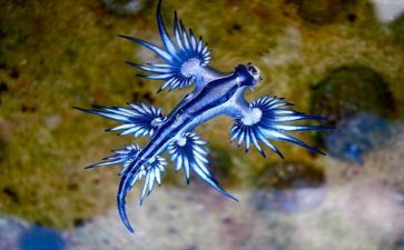 初一生物组教学计划5篇
