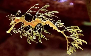 新学期生物教师工作计划7篇