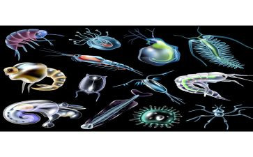 2024年高中生物工作计划推荐6篇