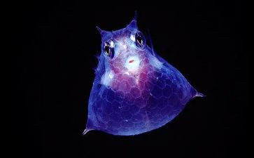 生物老师个人工作总结7篇