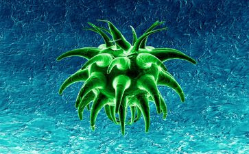 生物教师个人述职报告7篇